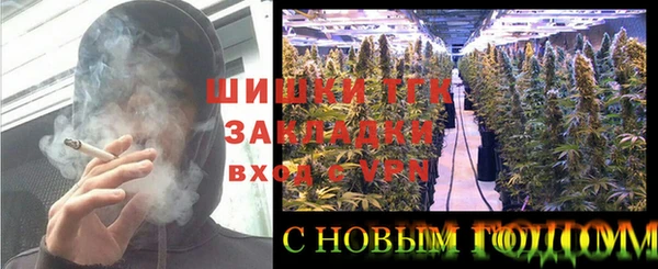 PSILOCYBIN Елабуга