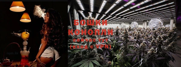 PSILOCYBIN Елабуга